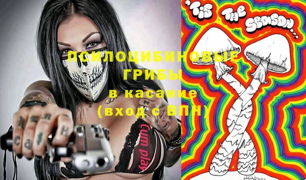 ГАЛЛЮЦИНОГЕННЫЕ ГРИБЫ Козельск