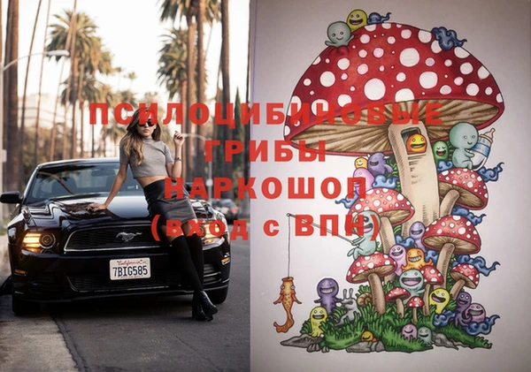 спайс Козловка
