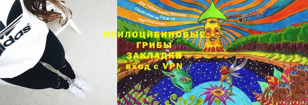спайс Козловка