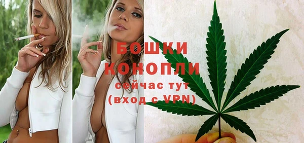 ГАЛЛЮЦИНОГЕННЫЕ ГРИБЫ Кодинск
