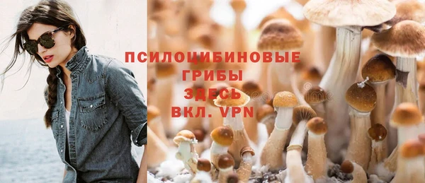 спайс Козловка
