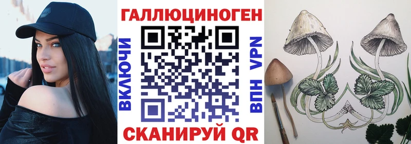 Галлюциногенные грибы прущие грибы  Купить закладки  Пучеж 