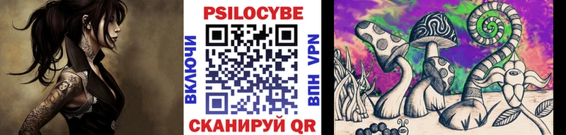Псилоцибиновые грибы Cubensis Пучеж